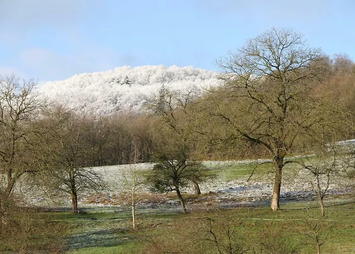 Schlierbachtal Appartamento