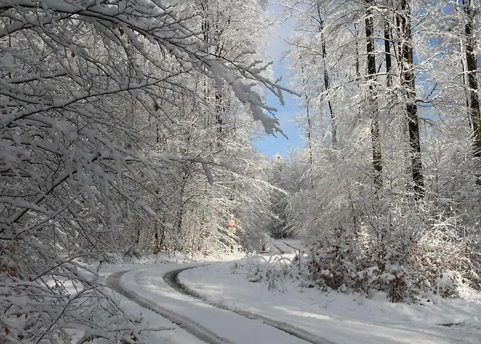 Schlierbachtal Appartamento Lindenfels